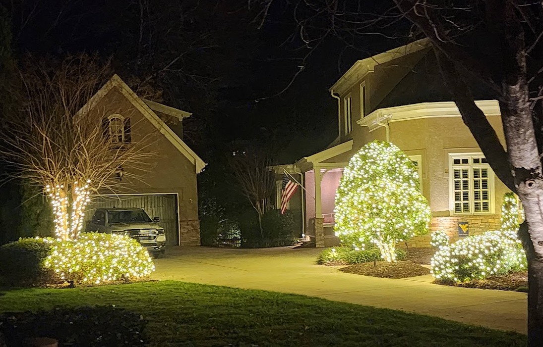 Warm white lighting wrapped across shrubs and a small tree
