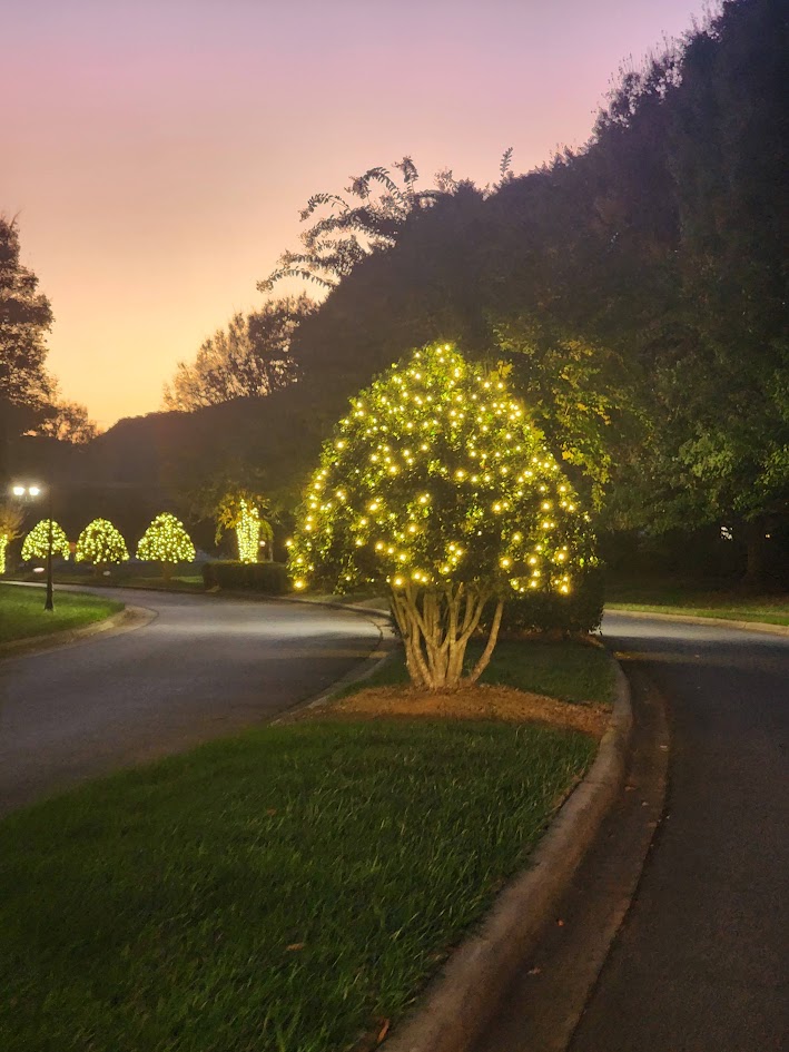 Warm white lighting across shrubs and trees at a Cornelius neighborhood entrance