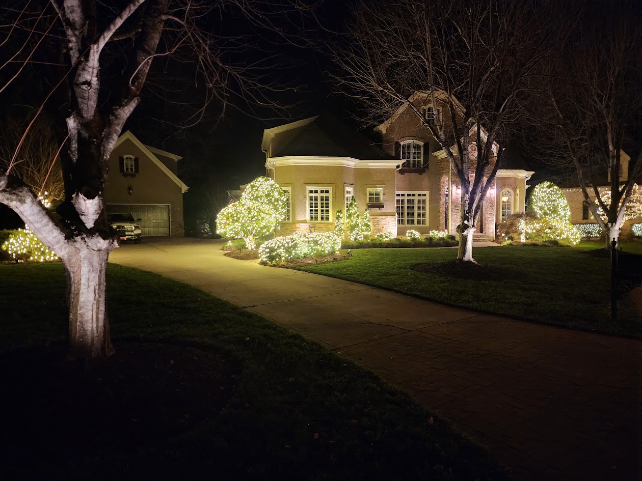 Warm white lighting across shrubs and landscaping at a Marvin home
