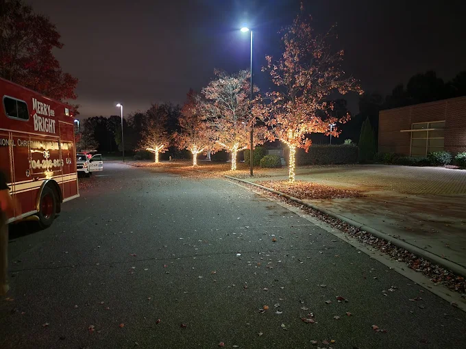 Warm-white tree lighting at a commercial property in Huntersville