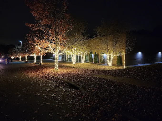 Warm white tree lighting across a commercial property in Huntersville