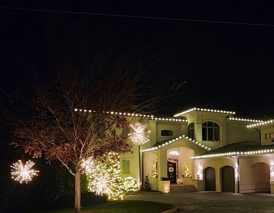 Two lit spritzers suspended in a tree above wrapped shrubs